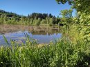 Etang du Moulin